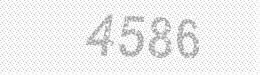 Visual security code — type the characters shown in the image